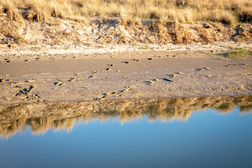 Landscape view of Pouawa Beach, lagoon, and marine reserve area, near Gisborne, New Zealand 