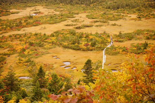 紅葉の八甲田山1
