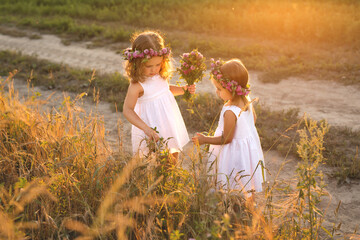 Fototapeta premium Children pick clover for a bouquet. Girls on a country road with wreaths of flowers on their heads collecting herbarium.