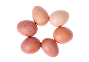 Freshly colored chicken eggs with brown shell. Studio Photo