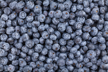 Fototapeta na wymiar blueberry texture tile pattern background