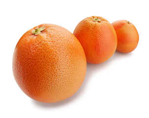 grapefruit path isolated on white