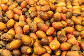 Dates for sale in the souk in Nizwa, Oman.