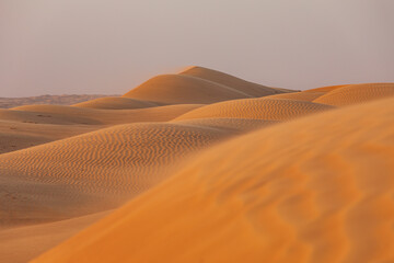 Fototapeta na wymiar Sand dunes in the desert of Oman.