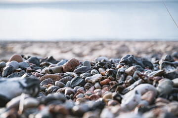shores by the sea