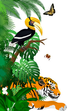 Vector jungle rainforest foliage vertical border illustration with tiger, great hornbill and butterflies