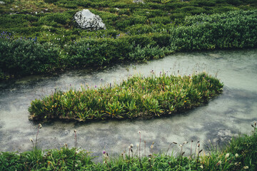 Small green islet with grasses and flowers among calm water of mountain lake with clear water. Atmospheric mountain landscape with grass isle in small lake with transparent water. Lush vegetations.