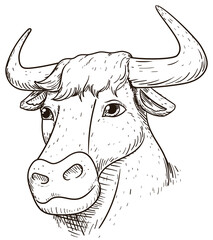 Isolated ox head in hand drawn style, Vector Illustration