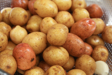 Washed small neu golden potatoes
