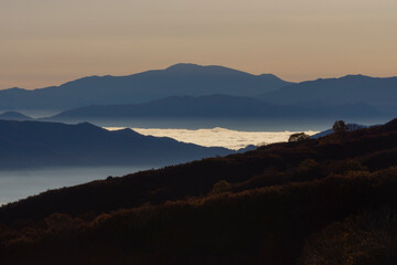 Fototapeta na wymiar 鳥海山から望む朝焼けの雲海と紅葉