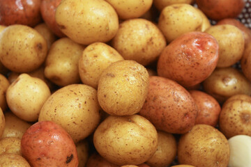Washed small neu golden potatoes