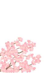 桜123　さくら　花　カード