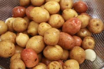 Washed small neu golden potatoes