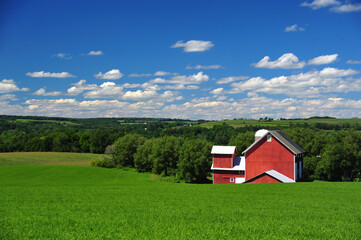 Obraz premium A beautifiul red barn sits on beautiful green and fertile farmland in upper New York State