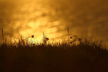 Atardecer