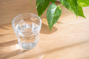 コップに入った水