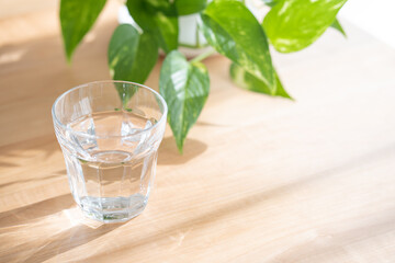 コップに入った水