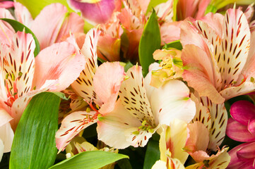Fototapeta na wymiar Beautiful flowers in a bouquet, floral background.
