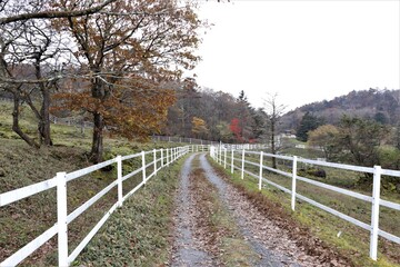 Fototapeta premium 群馬県鹿沼市の横根高原