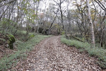 群馬県鹿沼市の横根高原