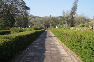 Fototapeta na wymiar Pathway in the garden of vazhani dam reservoir, Kerala, India