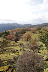 群馬県鹿沼市の横根高原