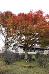 群馬県鹿沼市の横根高原