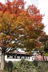 群馬県鹿沼市の横根高原