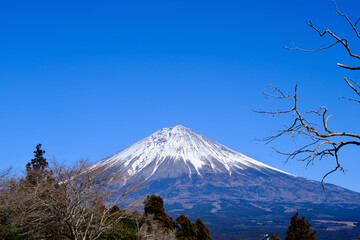 【静岡】白糸の滝から見る富士山（冬）