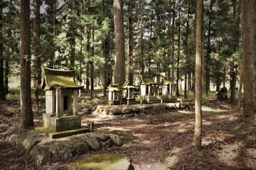 群馬県鹿沼市の大葦神社
