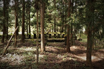 群馬県鹿沼市の大葦神社