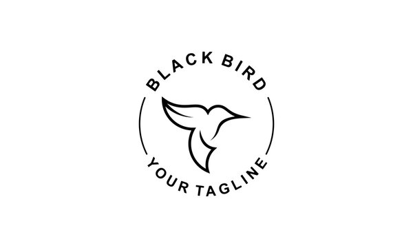 Black Bird Logo in white background