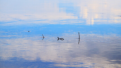Clouds reflection on sea water