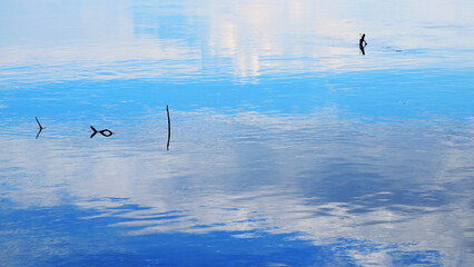 Clouds reflection on sea water