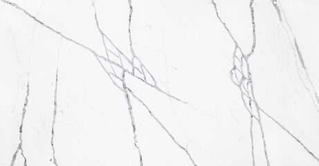This is a dramatic grey and white marble looking quartz slab. It's off-white background with cool toned grey veins contain a criss-cross pattern which gives it an eye-catching effect.