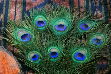 Fototapeta premium peacock feather details for fashion and decoration