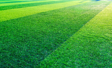 Football pitch and a cloudy sky. Green field.