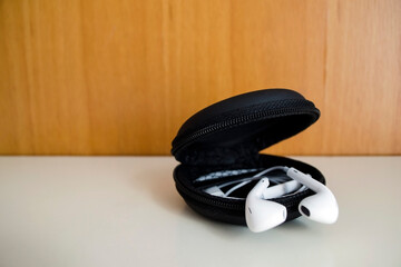 earphone  in case