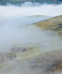 Misty morning, Farmland