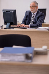Aged businessman employee sitting in the office