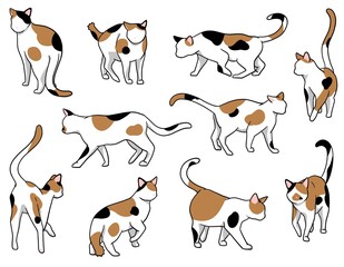 おさんぽ猫　三毛猫セット