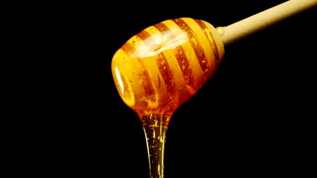 Honey drips from wooden honey spoon on black background. Close up.