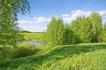 Spring landscape with birch trees on the bank of the river