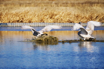 長旅の終わりに