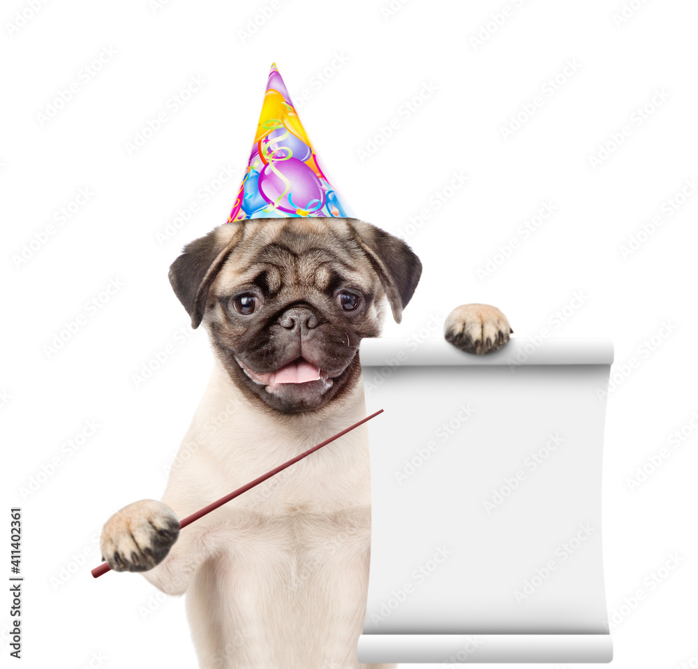 Aufkleber Pug puppy wearing party cap points on empty list. isolated on white background