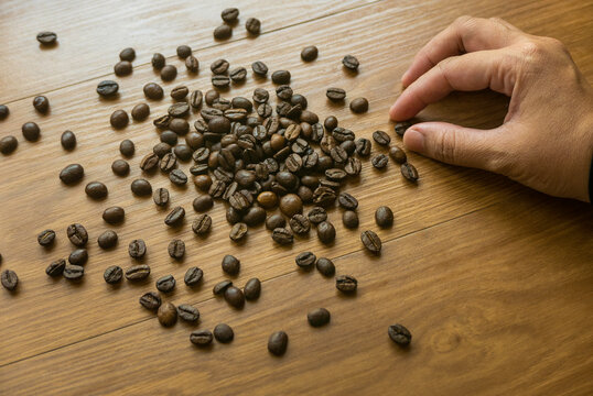 Selective focus of hand picking coffee beans on wooden background.