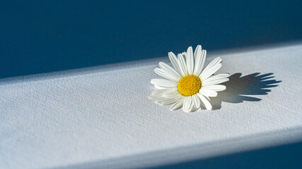 Interior tablecloth with a white daisy flower