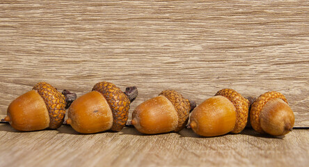 Five ripe acorns on wooden background, yellow nuts of oak tree in autumn