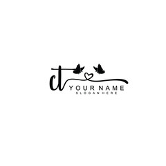 CT Initial handwriting logo template vector