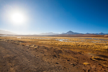 Chilean lagoon landscape, Chile